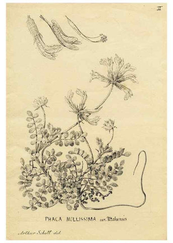 Reproducción/Reproduction 8283236249: Drawings/prints associated with USPRR reports & photographs/archival material. 