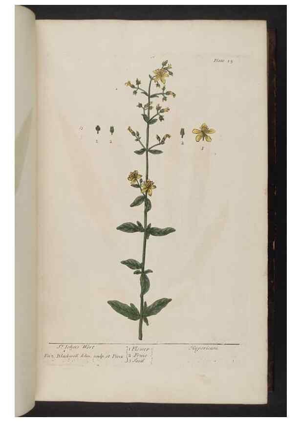 Reproducción/Reproduction 8251707519: A curious herbal. London : Printed for Samuel Harding, 1737-1739.