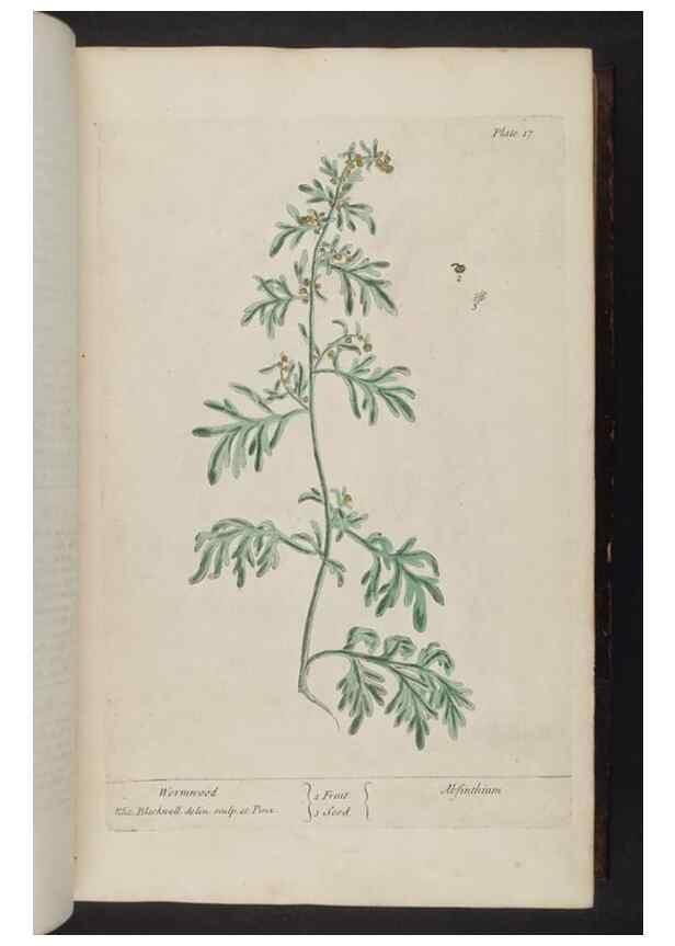 Reproducción/Reproduction 8251707935: A curious herbal. London : Printed for Samuel Harding, 1737-1739.