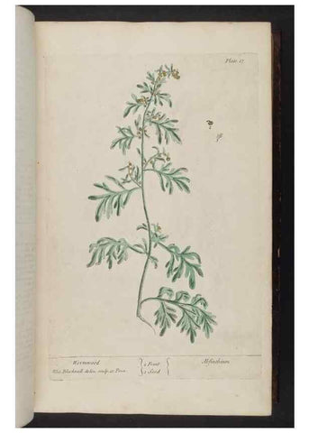 Reproducción/Reproduction 8251707935: A curious herbal. London : Printed for Samuel Harding, 1737-1739.