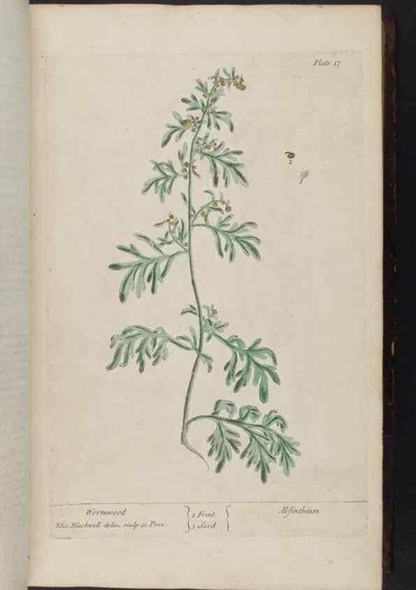 Reproducción/Reproduction 8251707935: A curious herbal. London : Printed for Samuel Harding, 1737-1739.