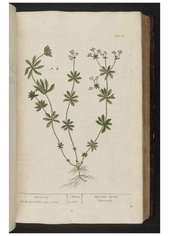 Reproducción/Reproduction 8251715541: A curious herbal. London : Printed for Samuel Harding, 1737-1739.