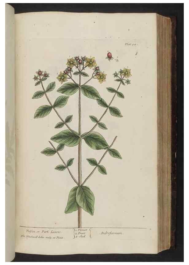 Reproducción/Reproduction 8251721823: A curious herbal. London : Printed for Samuel Harding, 1737-1739.