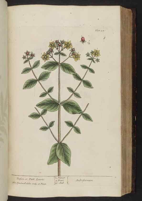 Reproducción/Reproduction 8251721823: A curious herbal. London : Printed for Samuel Harding, 1737-1739.