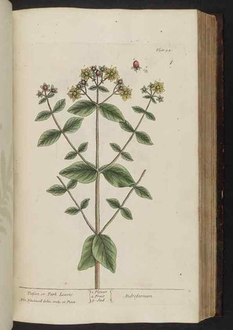 Reproducción/Reproduction 8251721823: A curious herbal. London : Printed for Samuel Harding, 1737-1739.