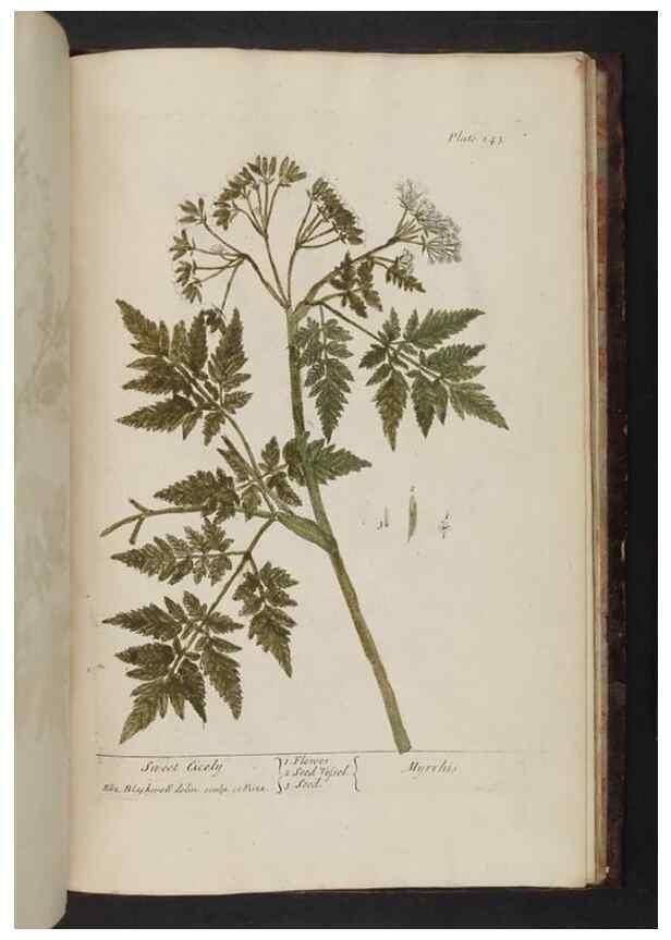 Reproducción/Reproduction 8251755005: A curious herbal. London : Printed for Samuel Harding, 1737-1739.