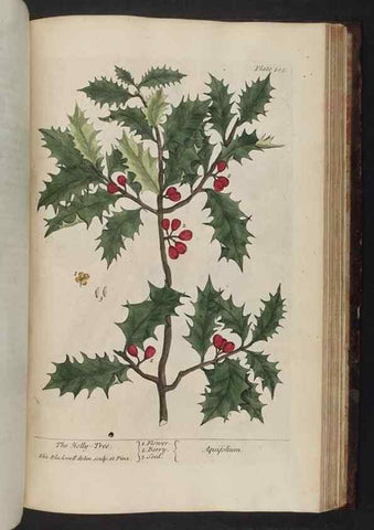 Reproducción/Reproduction 8251745849: A curious herbal. London : Printed for Samuel Harding, 1737-1739.