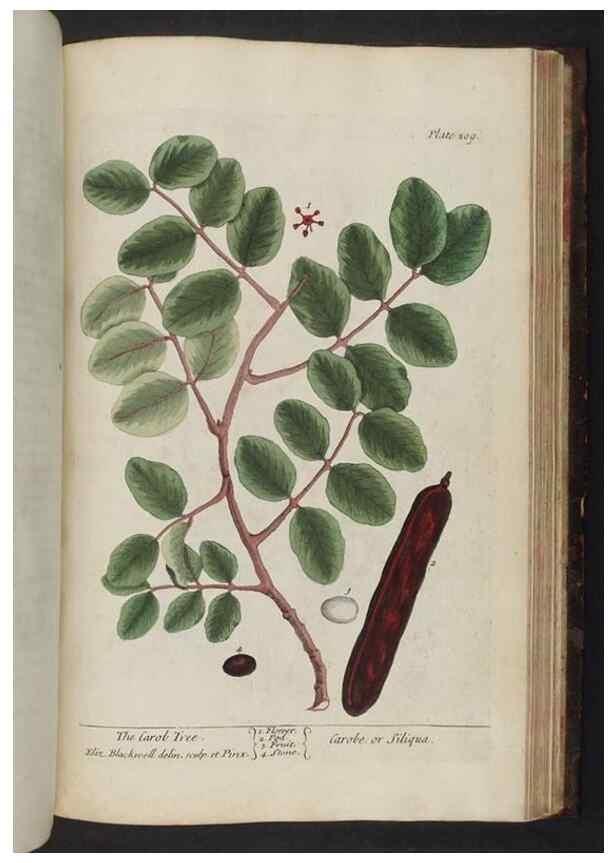 Reproducción/Reproduction 8252817428: A curious herbal. London : Printed for Samuel Harding, 1737-1739.