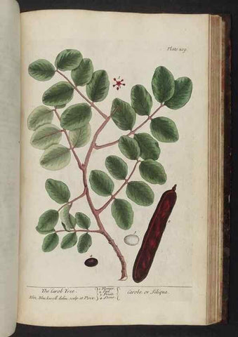 Reproducción/Reproduction 8252817428: A curious herbal. London : Printed for Samuel Harding, 1737-1739.