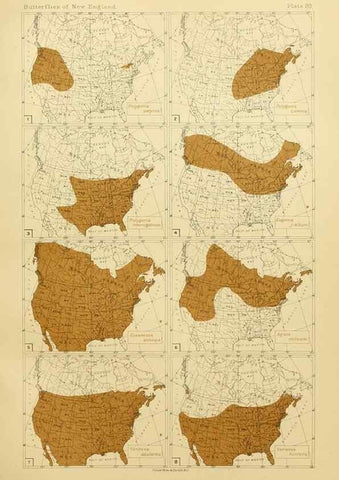 Reproducción/Reproduction 8252294235: The butterflies of the eastern United States and Canada :. Cambridge :The author,1889.