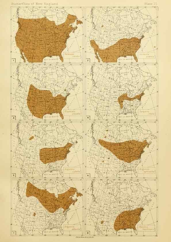 Reproducción/Reproduction 8253365132: The butterflies of the eastern United States and Canada :. Cambridge :The author,1889.