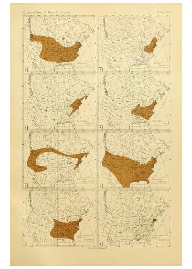 Reproducción/Reproduction 8253366142: The butterflies of the eastern United States and Canada :. Cambridge :The author,1889.