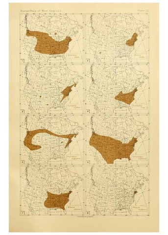 Reproducción/Reproduction 8253366142: The butterflies of the eastern United States and Canada :. Cambridge :The author,1889.