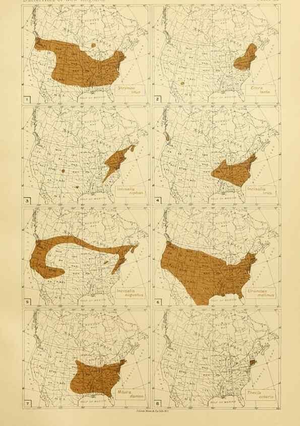 Reproducción/Reproduction 8253366142: The butterflies of the eastern United States and Canada :. Cambridge :The author,1889.