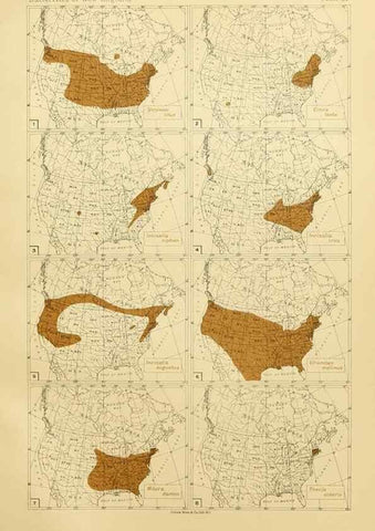 Reproducción/Reproduction 8253366142: The butterflies of the eastern United States and Canada :. Cambridge :The author,1889.