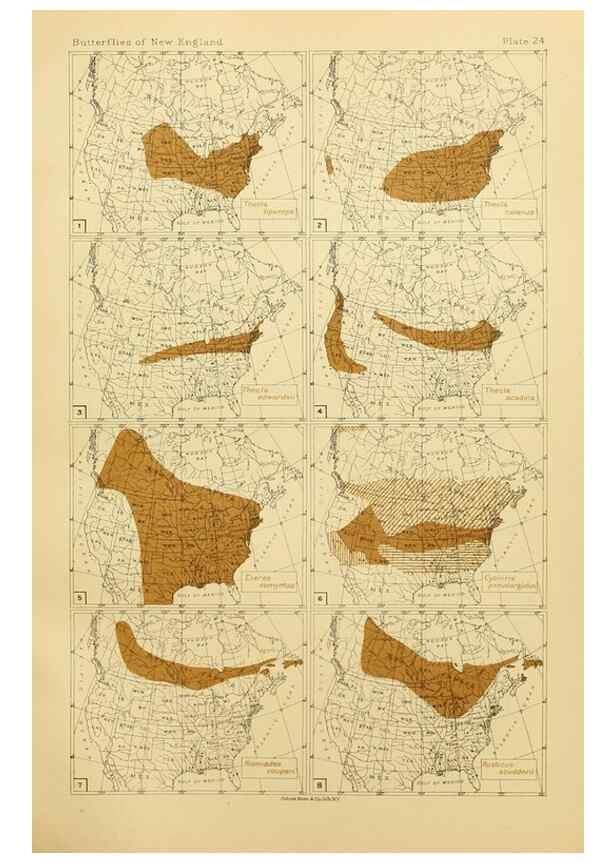 Reproducción/Reproduction 8253366652: The butterflies of the eastern United States and Canada :. Cambridge :The author,1889.
