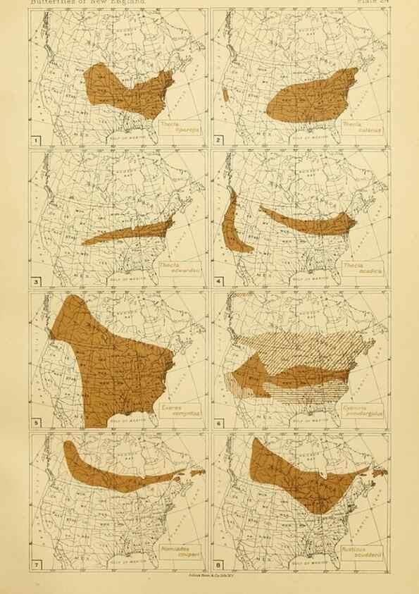 Reproducción/Reproduction 8253366652: The butterflies of the eastern United States and Canada :. Cambridge :The author,1889.
