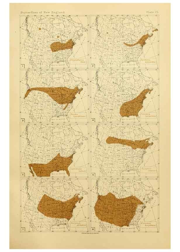 Reproducción/Reproduction 8252296641: The butterflies of the eastern United States and Canada :. Cambridge :The author,1889.