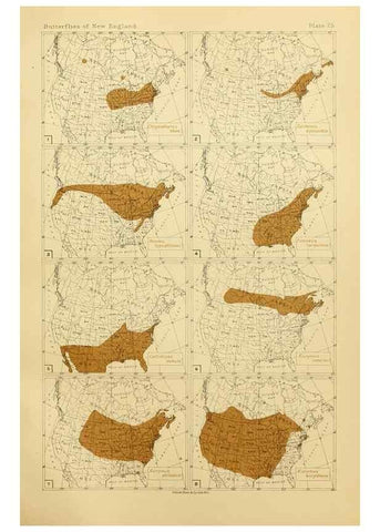 Reproducción/Reproduction 8252296641: The butterflies of the eastern United States and Canada :. Cambridge :The author,1889.