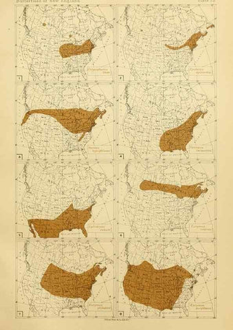 Reproducción/Reproduction 8252296641: The butterflies of the eastern United States and Canada :. Cambridge :The author,1889.