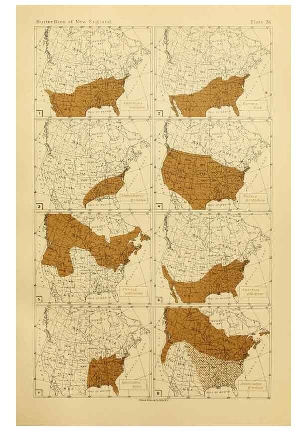Reproducción/Reproduction 8252297387: The butterflies of the eastern United States and Canada :. Cambridge :The author,1889.