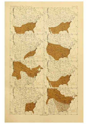 Reproducción/Reproduction 8252297387: The butterflies of the eastern United States and Canada :. Cambridge :The author,1889.