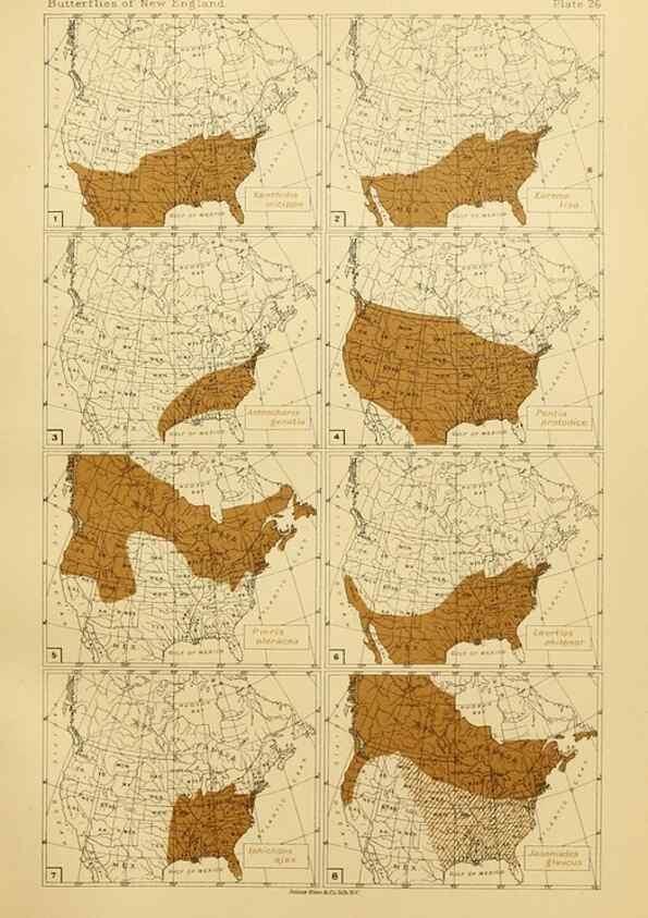 Reproducción/Reproduction 8252297387: The butterflies of the eastern United States and Canada :. Cambridge :The author,1889.