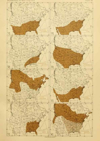 Reproducción/Reproduction 8252297387: The butterflies of the eastern United States and Canada :. Cambridge :The author,1889.