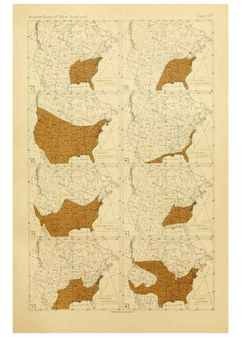 Reproducción/Reproduction 8252297939: The butterflies of the eastern United States and Canada :. Cambridge :The author,1889.