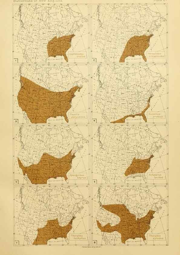 Reproducción/Reproduction 8252297939: The butterflies of the eastern United States and Canada :. Cambridge :The author,1889.
