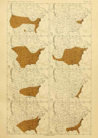 Reproducción/Reproduction 8253369010: The butterflies of the eastern United States and Canada :. Cambridge :The author,1889.