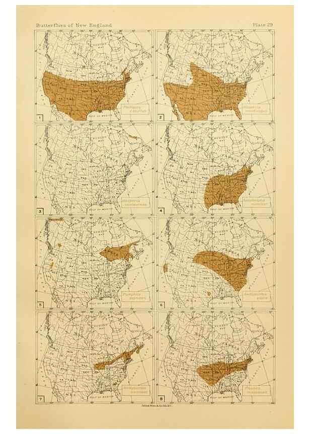Reproducción/Reproduction 8253369720: The butterflies of the eastern United States and Canada :. Cambridge :The author,1889.