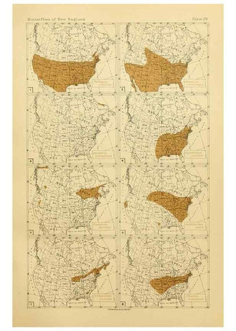 Reproducción/Reproduction 8253369720: The butterflies of the eastern United States and Canada :. Cambridge :The author,1889.