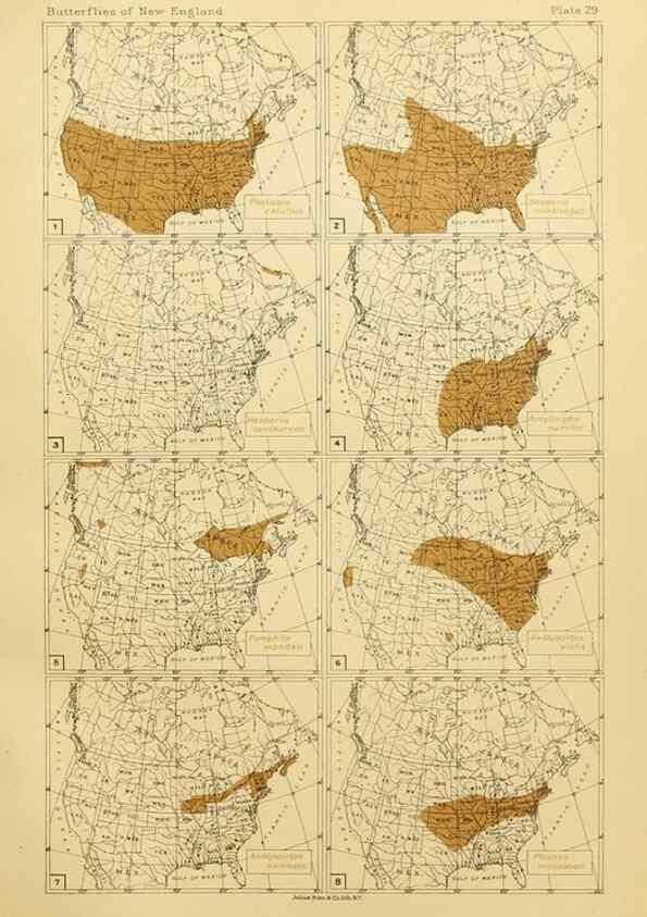 Reproducción/Reproduction 8253369720: The butterflies of the eastern United States and Canada :. Cambridge :The author,1889.