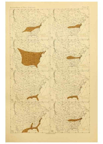 Reproducción/Reproduction 8252301065: The butterflies of the eastern United States and Canada :. Cambridge :The author,1889.
