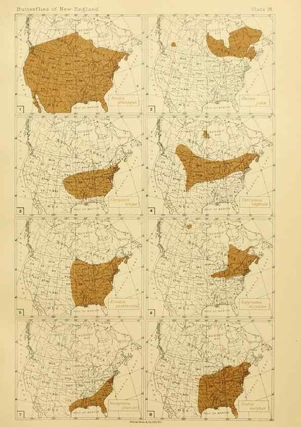 Reproducción/Reproduction 8252293179: The butterflies of the eastern United States and Canada :. Cambridge :The author,1889.