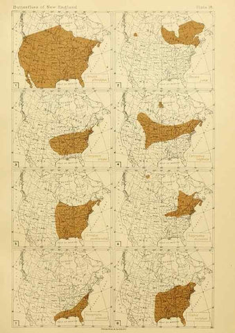 Reproducción/Reproduction 8252293179: The butterflies of the eastern United States and Canada :. Cambridge :The author,1889.