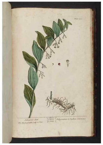 Reproducción/Reproduction 8251756735: A curious herbal. London : Printed for Samuel Harding, 1737-1739.