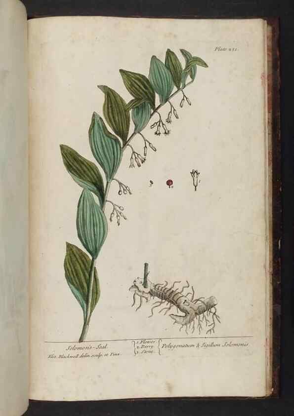Reproducción/Reproduction 8251756735: A curious herbal. London : Printed for Samuel Harding, 1737-1739.