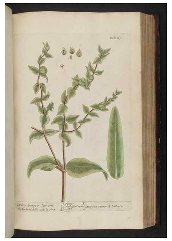 Reproducción/Reproduction 8252798858: A curious herbal. London : Printed for Samuel Harding, 1737-1739.