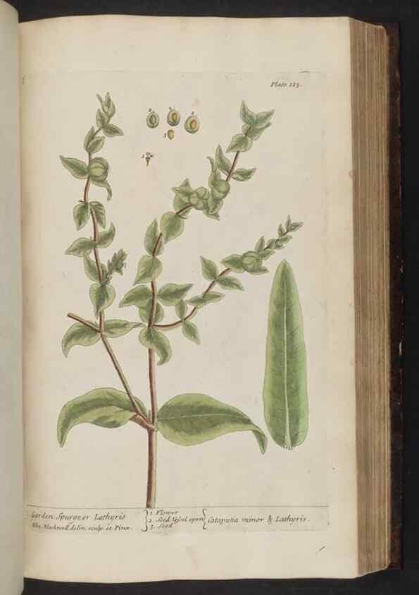 Reproducción/Reproduction 8252798858: A curious herbal. London : Printed for Samuel Harding, 1737-1739.
