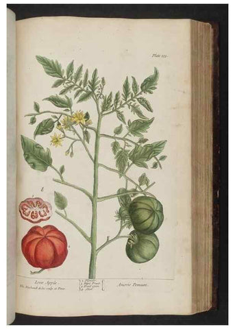 Reproducción/Reproduction 8252801088: A curious herbal. London : Printed for Samuel Harding, 1737-1739.