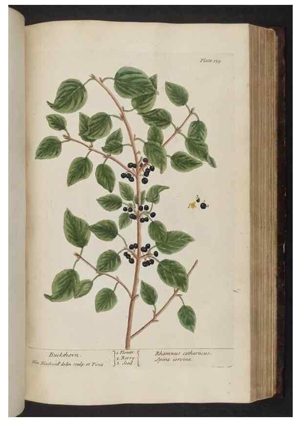 Reproducción/Reproduction 8252801418: A curious herbal. London : Printed for Samuel Harding, 1737-1739.