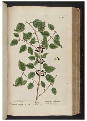 Reproducción/Reproduction 8252801418: A curious herbal. London : Printed for Samuel Harding, 1737-1739.