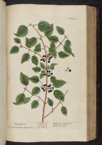 Reproducción/Reproduction 8252801418: A curious herbal. London : Printed for Samuel Harding, 1737-1739.