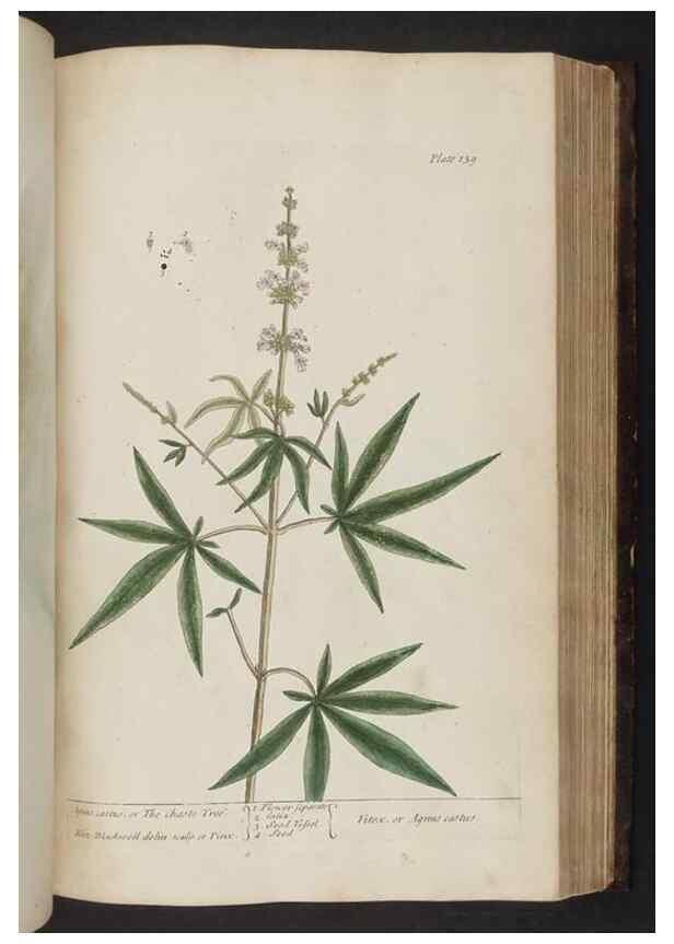 Reproducción/Reproduction 8251731677: A curious herbal. London : Printed for Samuel Harding, 1737-1739.