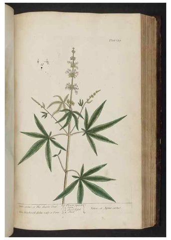 Reproducción/Reproduction 8251731677: A curious herbal. London : Printed for Samuel Harding, 1737-1739.