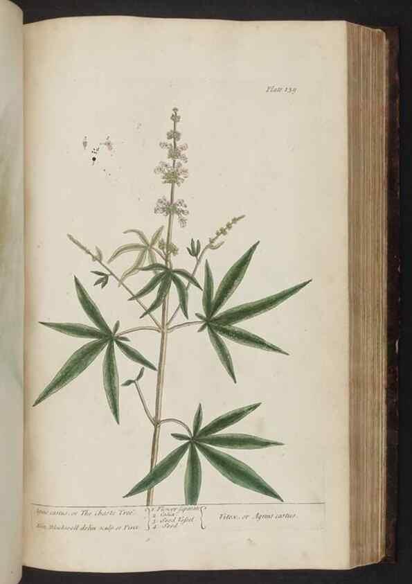 Reproducción/Reproduction 8251731677: A curious herbal. London : Printed for Samuel Harding, 1737-1739.