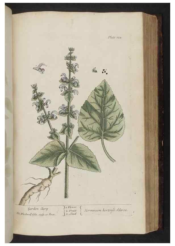 Reproducción/Reproduction 8251727983: A curious herbal. London : Printed for Samuel Harding, 1737-1739.