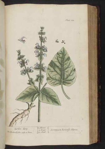 Reproducción/Reproduction 8251727983: A curious herbal. London : Printed for Samuel Harding, 1737-1739.